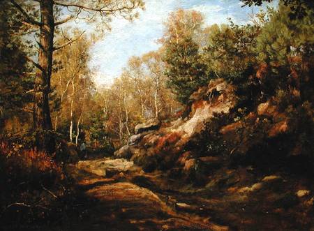 Pines and Birch Trees or, The Forest of Fontainebleau von Henri Joseph Constant Dutilleux