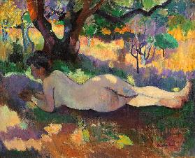 Akt unter den Bäumen (Nu sous les arbres) 1905