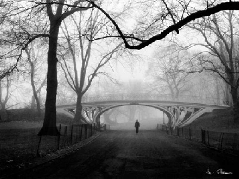 Gothic Bridge, Central Park NYC von Henri Silberman