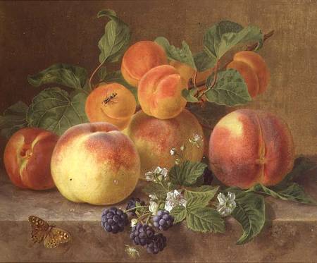 Still Life of Peaches von Henrietta Ronner-Knip