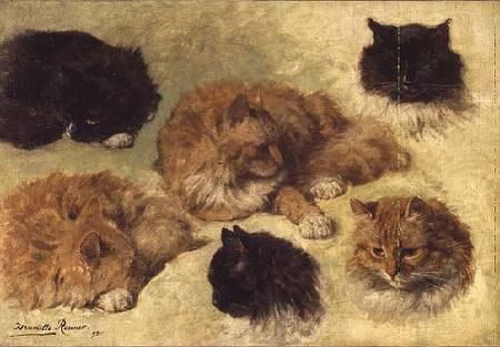 Studies of Cats von Henrietta Ronner-Knip