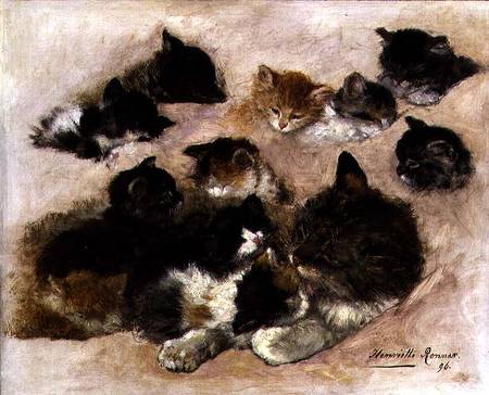 Study of cats and kittens von Henrietta Ronner-Knip