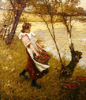 In the Orchard, Haylands, Graffham (oil on canvas) 20th