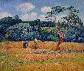 Figures harvesting a wheat field (oil on canvas) 14th