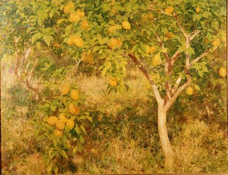 The Lemon Tree von Henry Scott Tuke