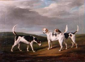Foxhounds in a Landscape 1818
