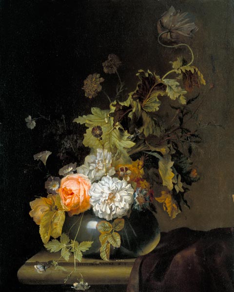 Flower Study von Herman van der Myn