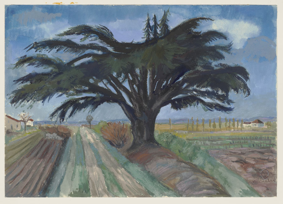 Großer Baum zwischen Feldern bei Montauban von Hermann Lismann