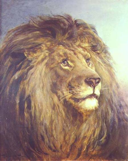 A Lion's Head von Heywood Hardy