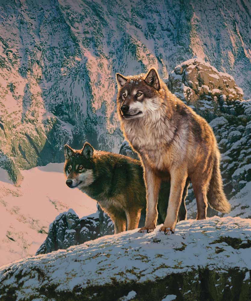 Wolf couple in Sunset von Vincent Hie