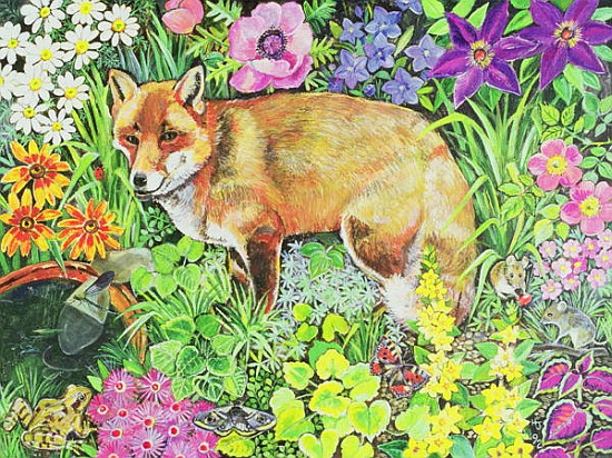 The Barnet Fox  von Hilary  Jones
