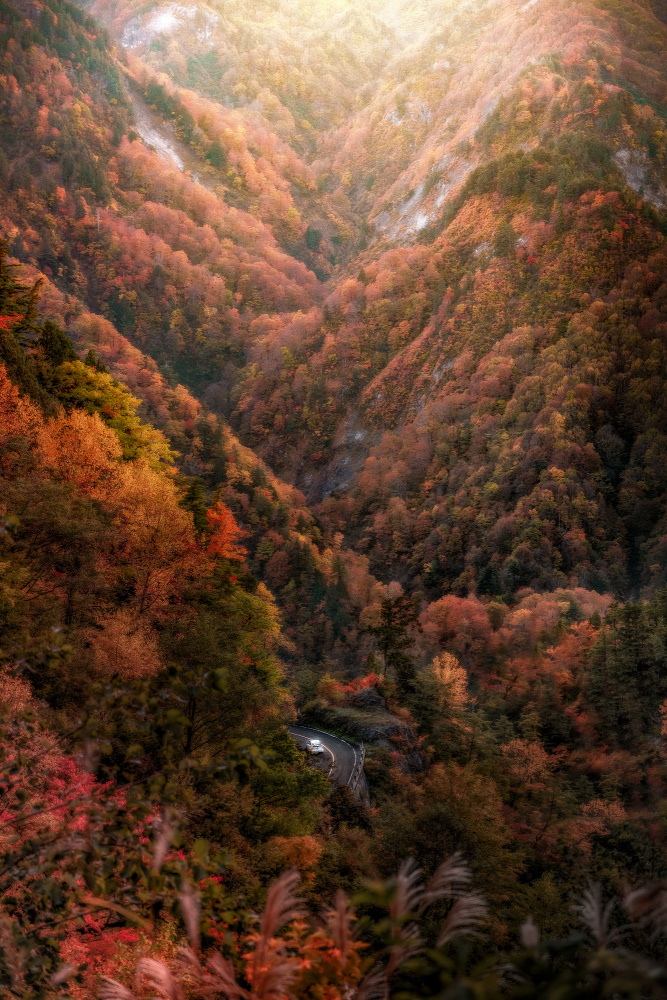 durch den Herbst laufen von まちゅばら/Hiroki Matsubara