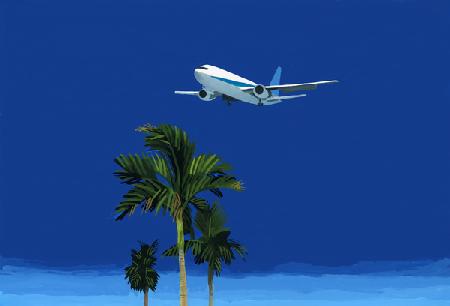 Airplane and palm tree 2016