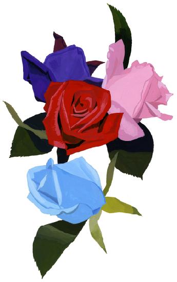 Pink red and light blue roses 2007