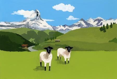Sheep in Zermatt, Switzerland 2015