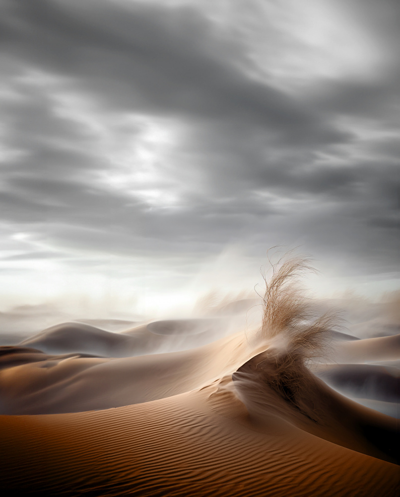 Wüstenwellen von Hosam.Karara