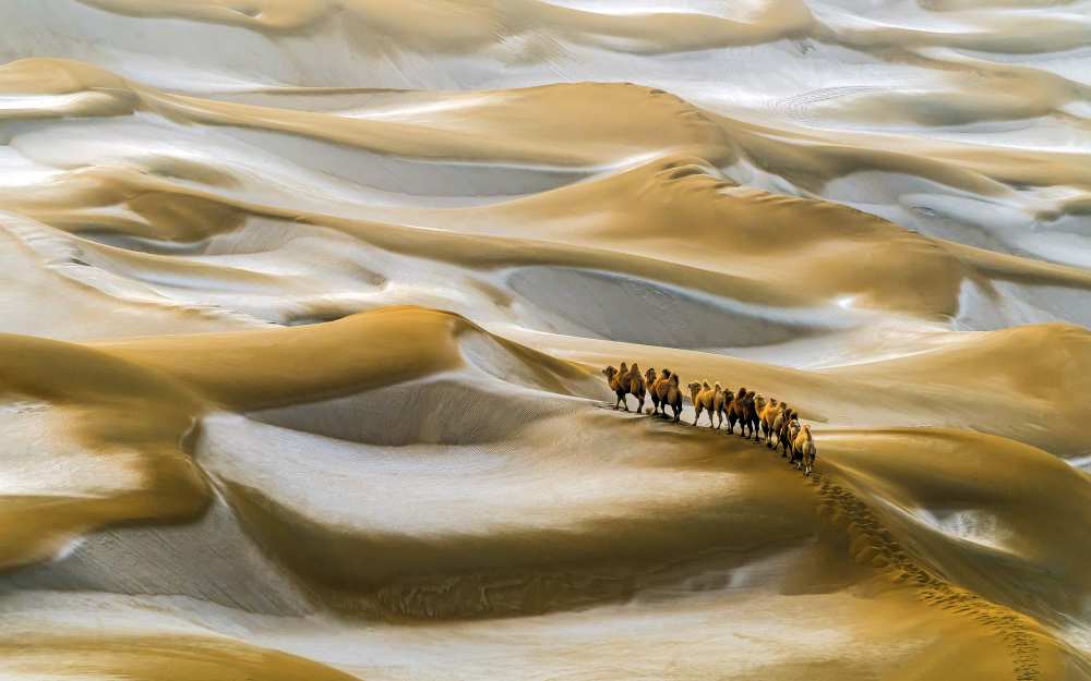 Desert Winter von Hua Zhu