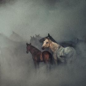 Die verlorenen Pferde