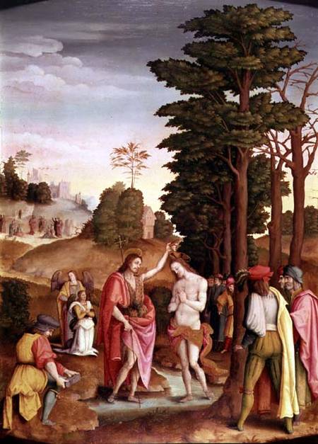 Baptism of Christ von Il Bacchiacca