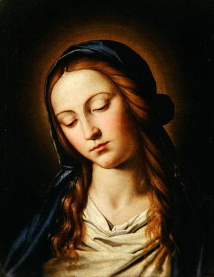 Head of the Madonna (oil on canvas) von Il Sassoferrato