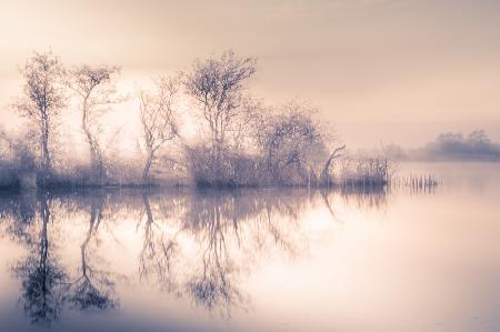 Kalter Morgen am Teich