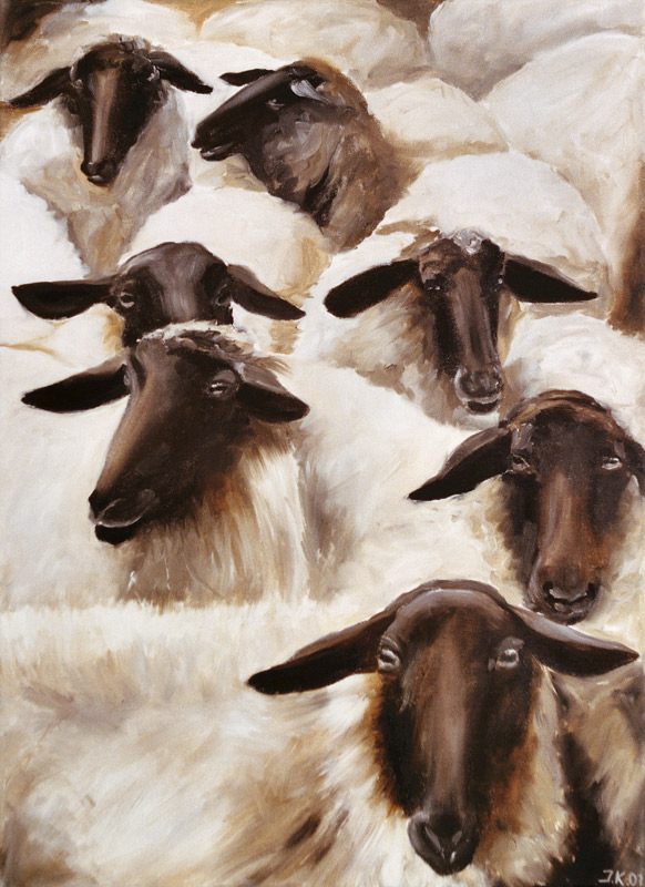 Schafe von Ingeborg Kuhn