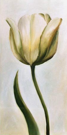 Weiße Tulpe 1 von Ingeborg Kuhn