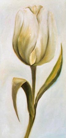 Weiße Tulpe 3 von Ingeborg Kuhn