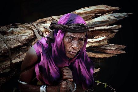 Borana-Frau trägt ein Brennholz