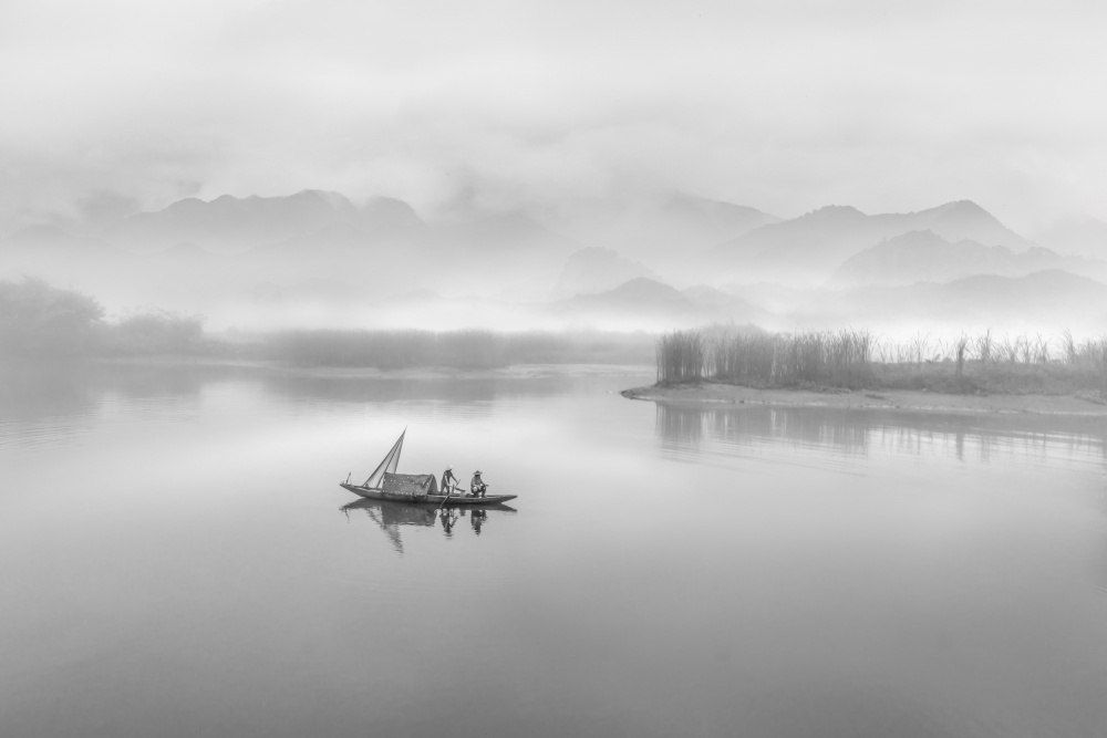 Im Nebel von Irene Wu