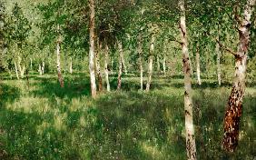 Birch Copse 1889