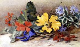 Still Life - mixed Flowers 1867