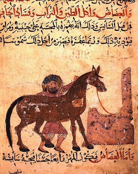 Caring for the horse, illustration from the 'Book of Farriery' by Ahmed ibn al-Husayn ibn al-Ahnaf von Islamic School