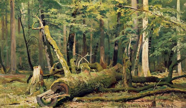 I.I.Zhishkin / Felled Oak / Ptg./ 1892 von Iwan Iwanowitsch Schischkin