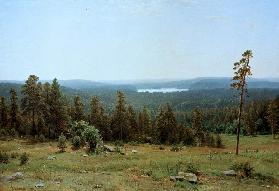 Waldweiten 1884