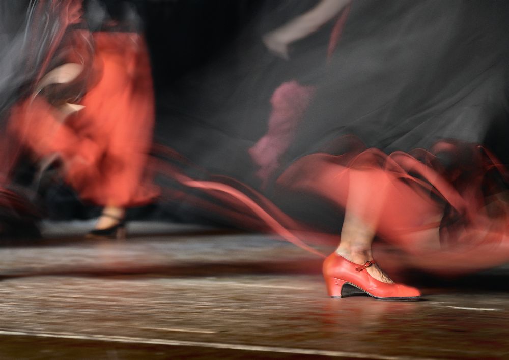 Flamenco) von Izidor Gasperlin
