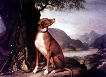 G. M. Johnston's favourite gun dog in a landscape von J. Francis Sartorius