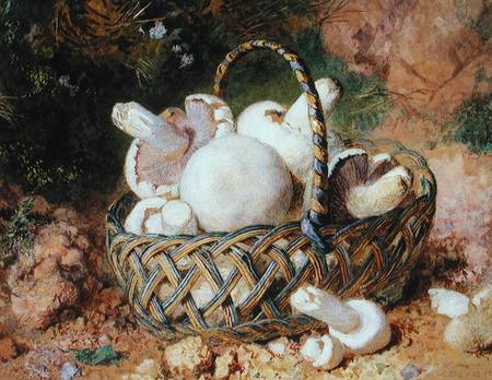 A Basket of Mushrooms von Jabez Bligh