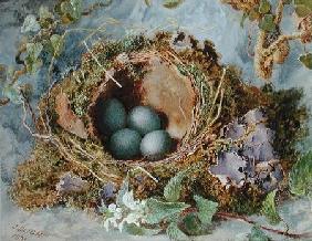 A Nest of Eggs 1871  on