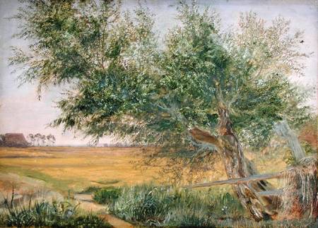 The Old Tree von Jacob Gensler