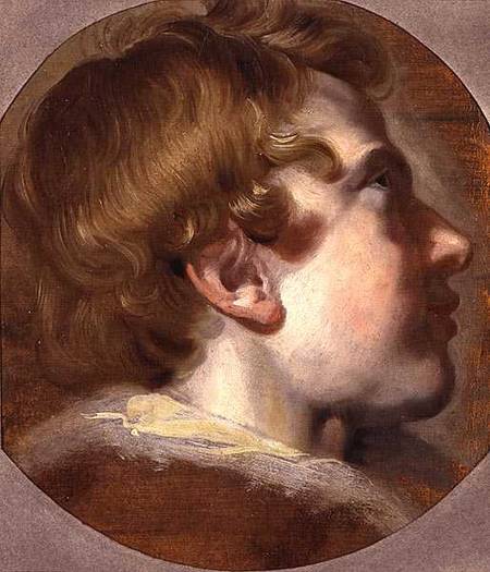 Head of a Young Boy von Jacob Jordaens