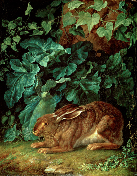 A Hare in Undergrowth von Jacob Philipp Hackert