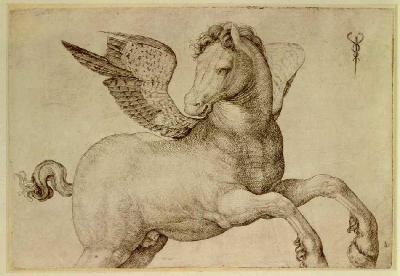 Pegasus. von Jacopo de Barbari