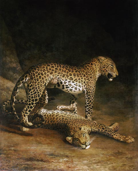 Two Leopards Lying In The Exeter Exchange von Jacques-Laurent Agasse