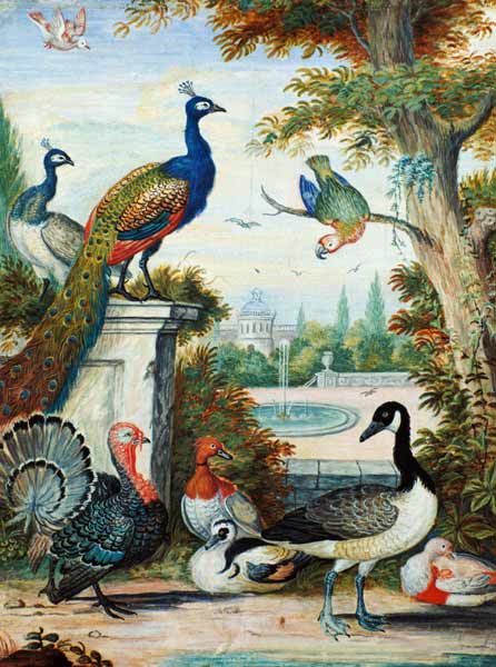 Exotic Birds and Domestic Fowl in a Picturesque Park von Jakab Bogdány