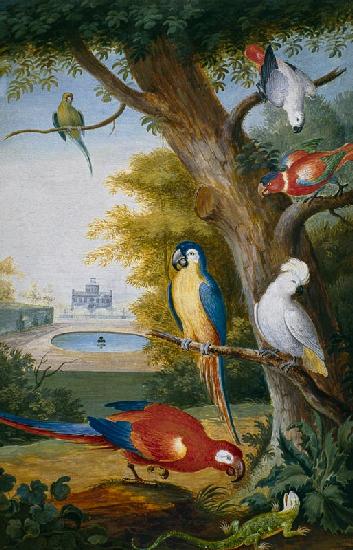 Parrots and a Lizard in a Picturesque Park early 18th