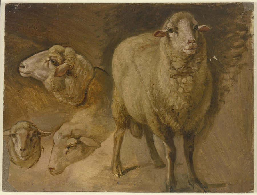 Schafe von Jakob Becker