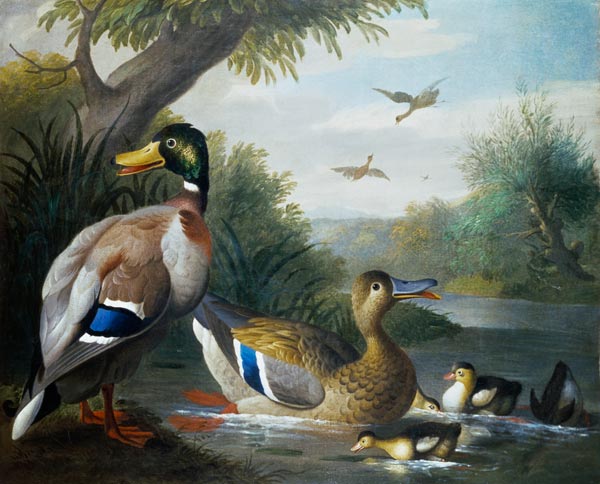 Ducks in a River Landscape von Jakob Bogdani or Bogdany