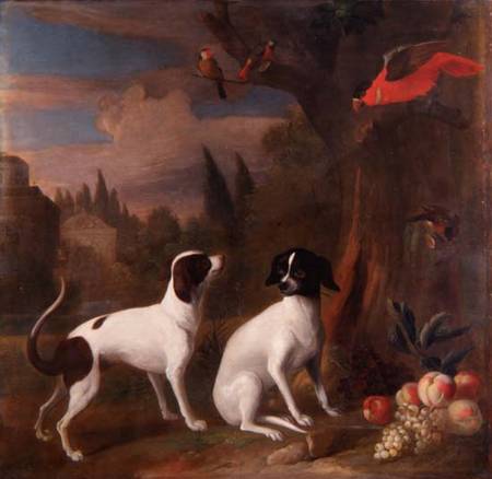 Two Dogs in a Landscape von Jakob Bogdani or Bogdany