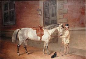 Lady Rosamund's Mare with Head Groom at Tredegar House, Newport 1851